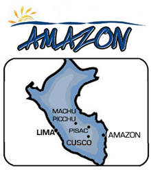 amazon